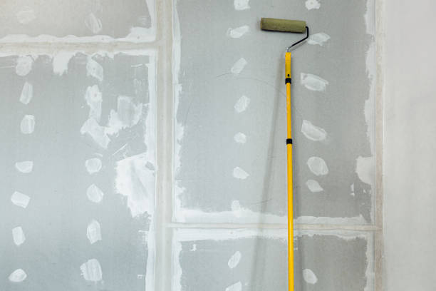 Best Drywall Sanding and Smoothing  in Quail Creek, TX